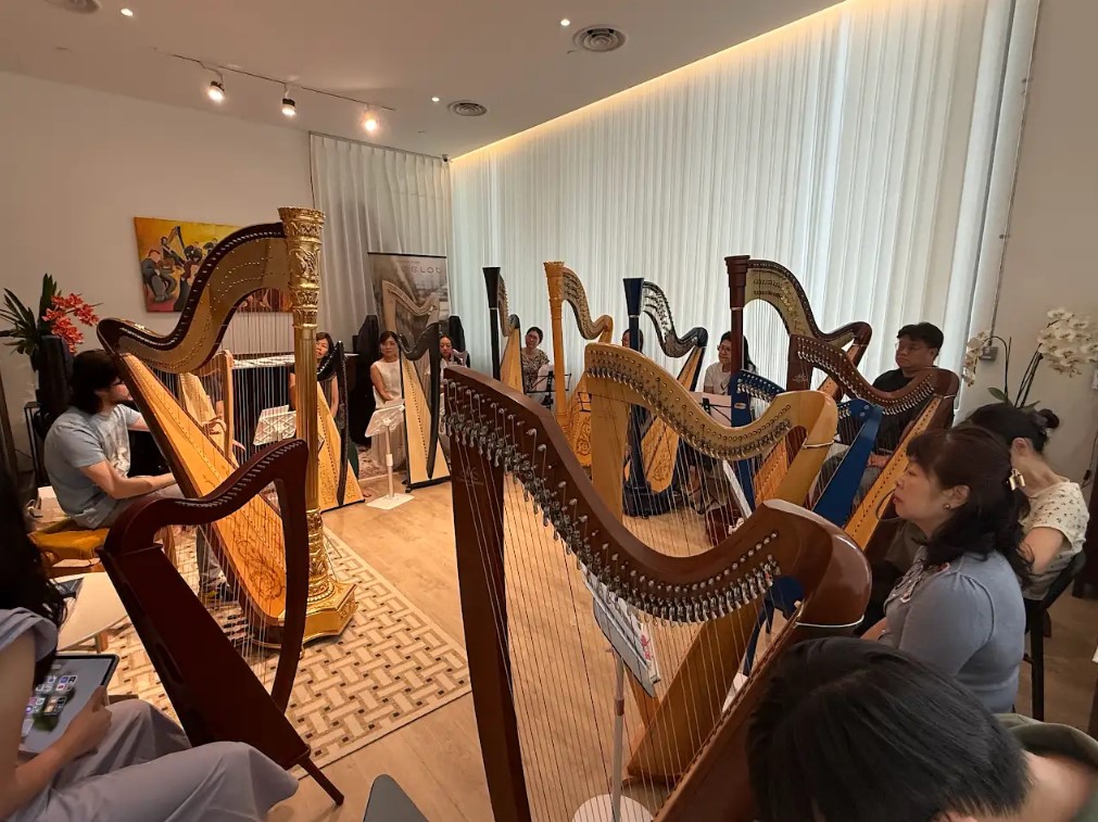 7 Common Beginner Harp Mistakes and How to Avoid Them
