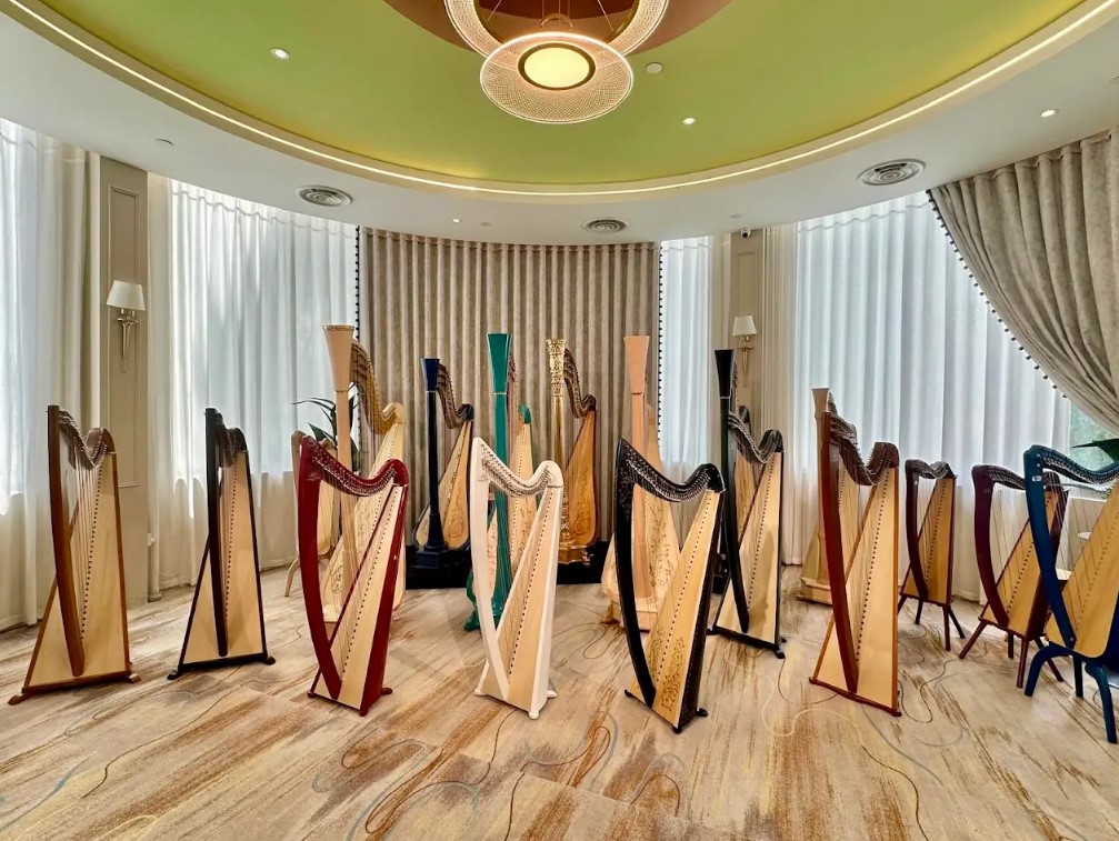 Lever Harp vs Pedal Harp: Choosing the Right Harp Instrument